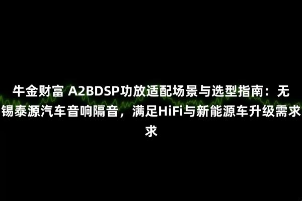 牛金财富 A2BDSP功放适配场景与选型指南：无锡泰源汽车音响隔音，满足HiFi与新能源车升级需求